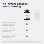 Designs for Health Immuno-Zn Lozenge Immune Support - 90 Lozenges - image 7