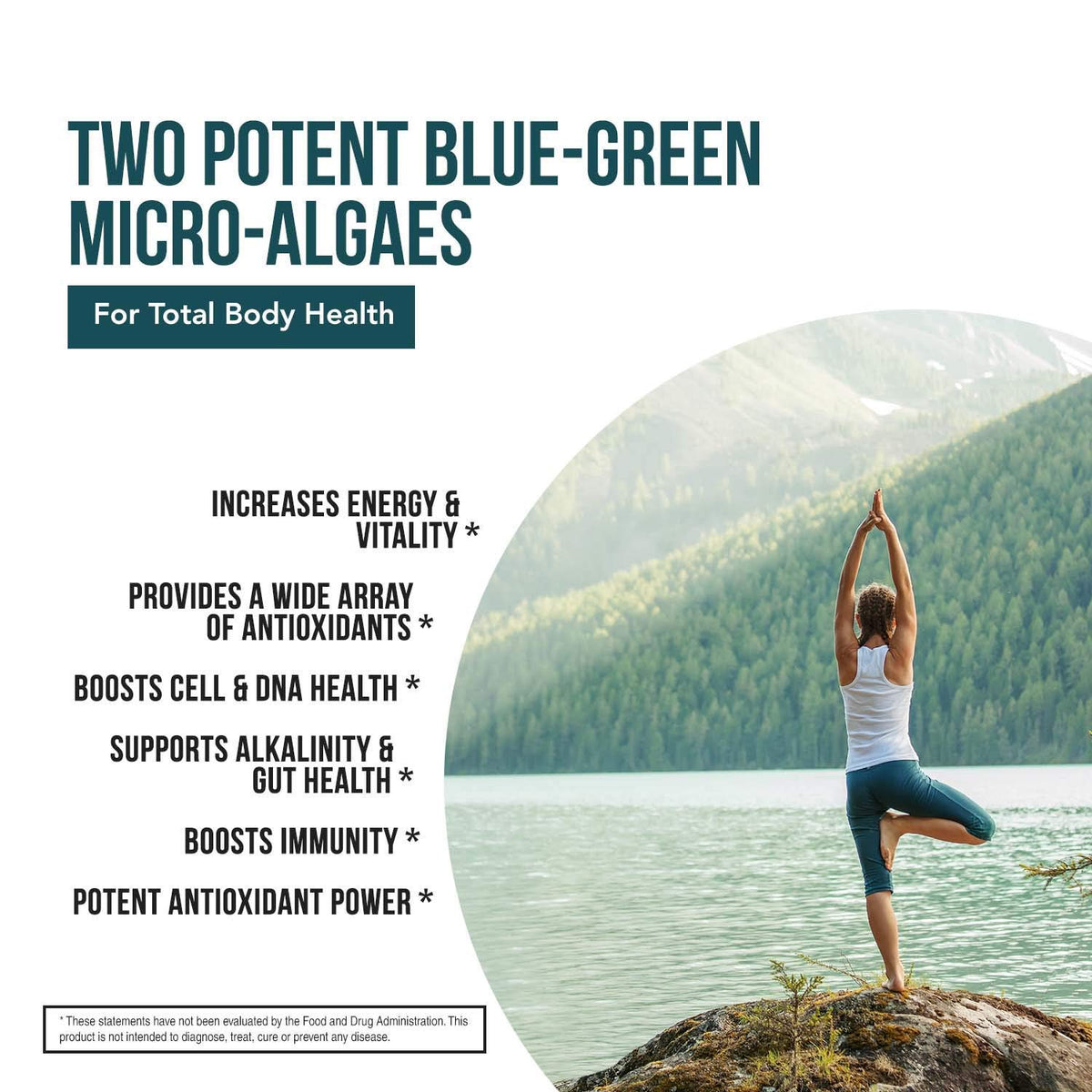 Triquetra Health Organic Spirulina & Chlorella Tablets - 120 Count - image 4