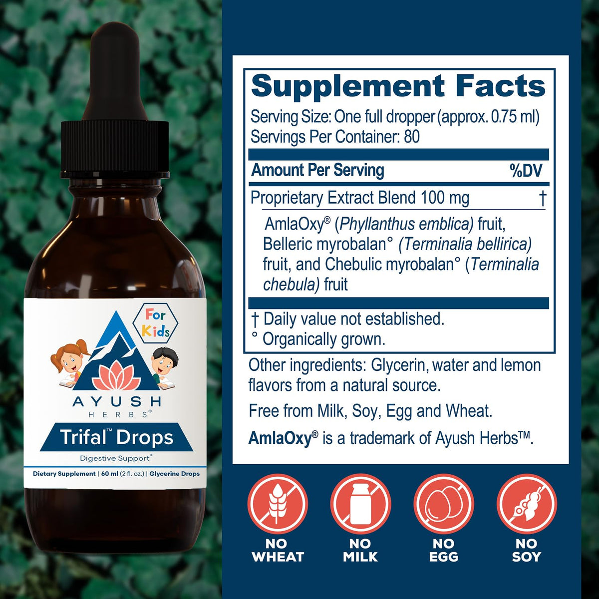 Ayush Herbs Trifal Drops Children Digestive Formula - 2 FL Oz - image 3
