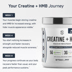 SteelFit Creatine HMB Powder with Creapure - 30 Servings - image 7