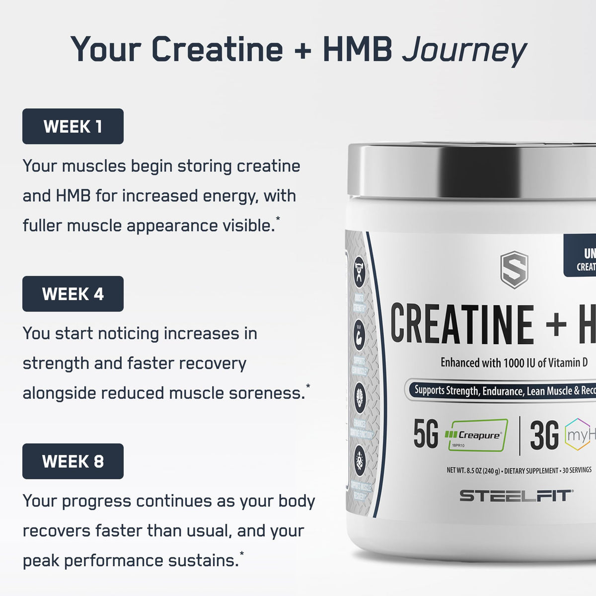 SteelFit Creatine HMB Powder with Creapure - 30 Servings - image 7