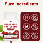 Spliferkou Berberine Phytosome with Ceylon Cinnamon - 60 Capsules - image 5