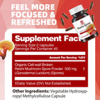 GANOHERB Organic Reishi Mushroom Capsules with 100% Ganoderma Lucidum