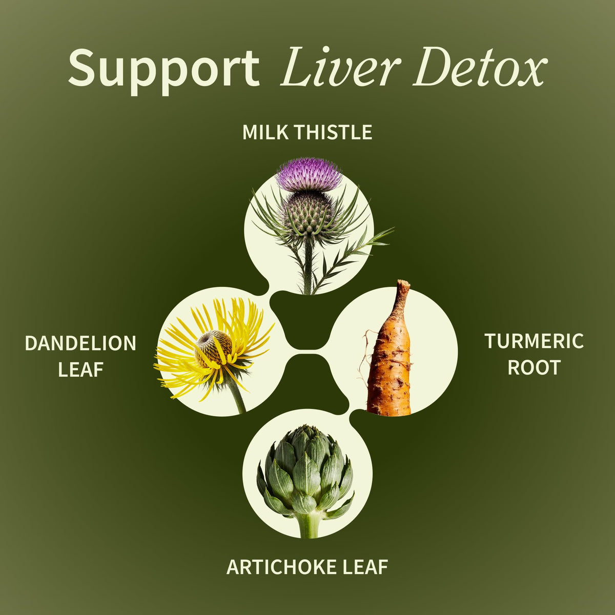 Snap Supplements Milk Thistle Silymarin Liver Support - 60 Capsules - image 3