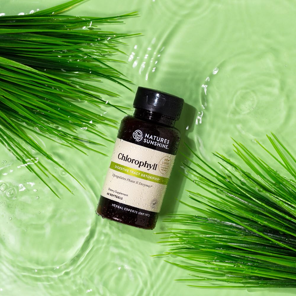 Nature's Sunshine Chlorophyll - 60 Softgels - image 2
