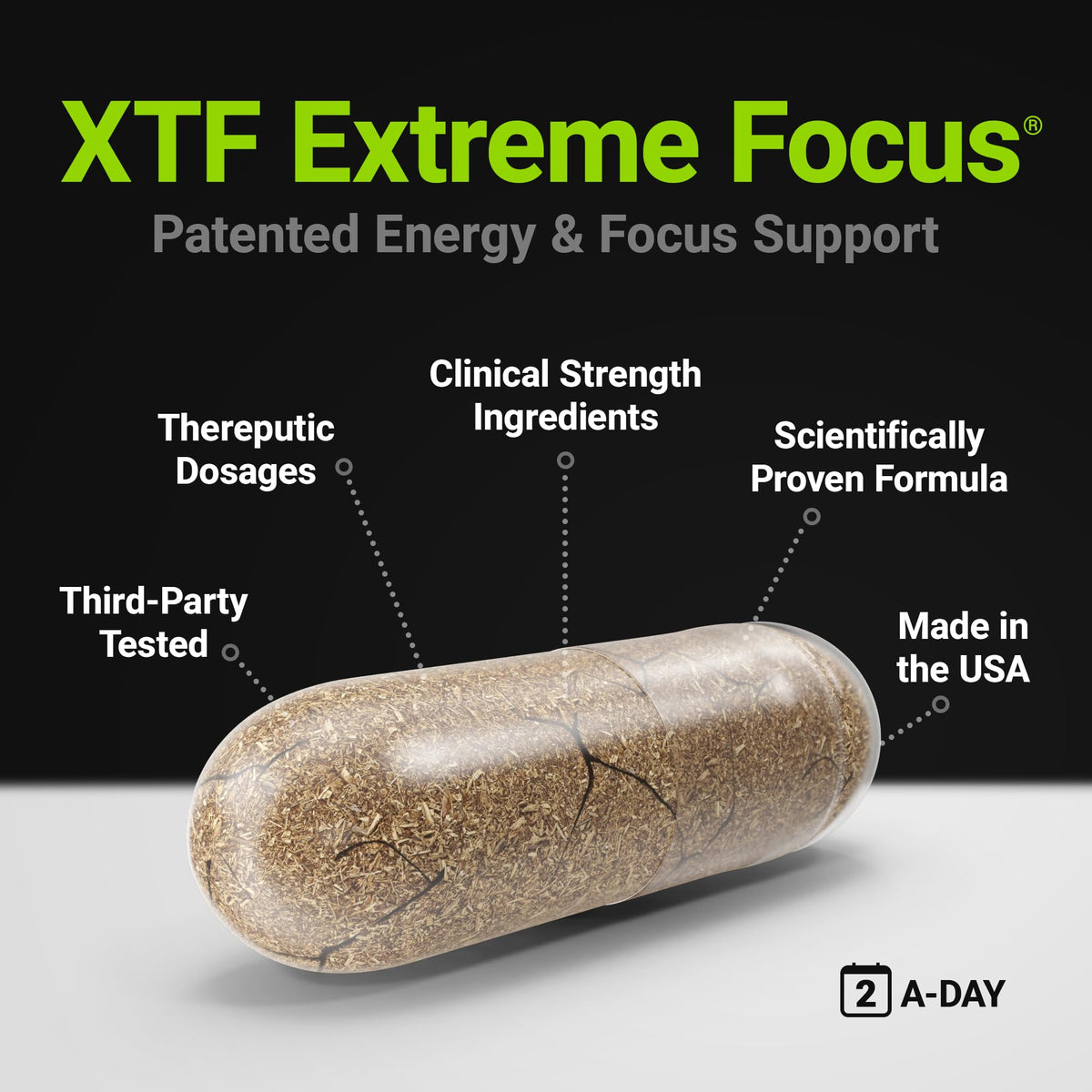 Procera XTF Cognitive Function Supplement - 40 Capsules - image 4