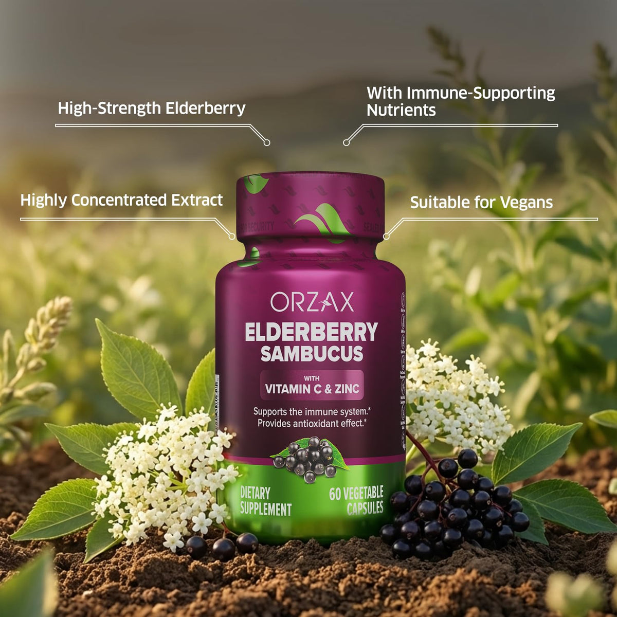 ORZAX Elderberry Capsules Immune Support - 60 Vegetarian Capsules - image 3