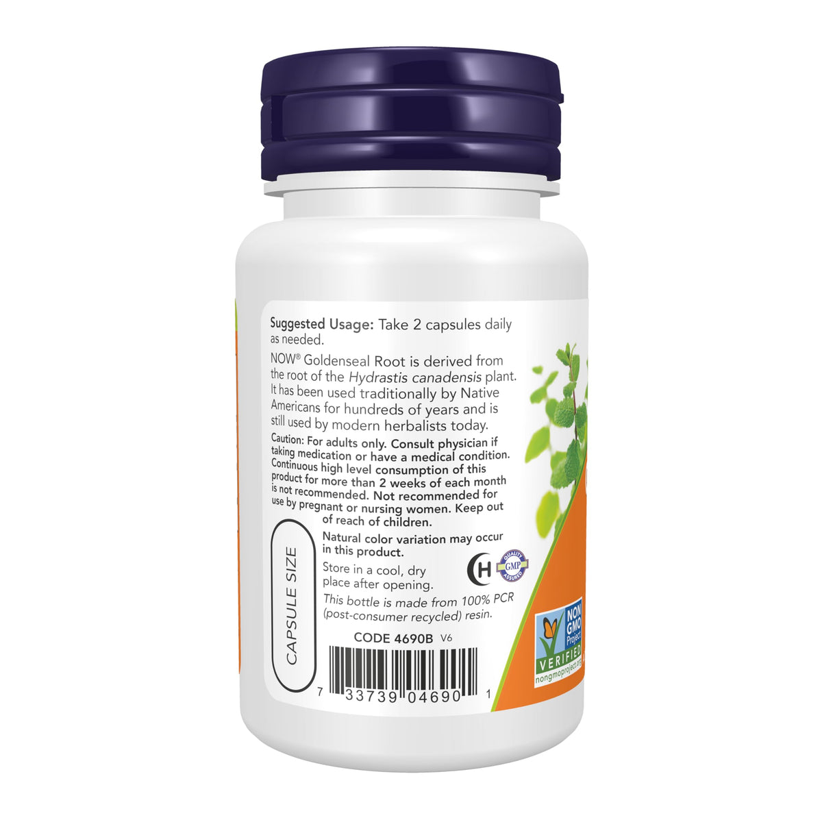 NOW Goldenseal Root 500 mg Herbal Supplement - 50 Vegetarian Capsules - image 3