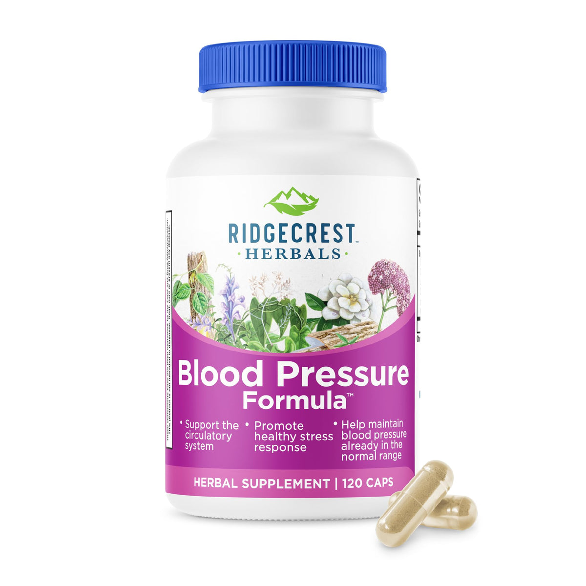 RidgeCrest Herbals Blood Pressure Herbal Formula