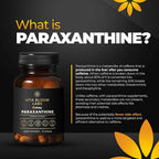 Vita Bloom Labs Enfinity Paraxanthine Capsules Clean Energy - 30 Capsules - image 4