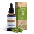 Secrets of the Tribe Motherwort Tincture Alcohol-Free Liquid Extract