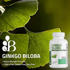 Bronson Ginkgo Biloba 500mg Extra Strength 500mg per Serving