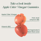 Primal Harvest ACV Gummies with Beetroot & B12 - 60 Gummies - image 3
