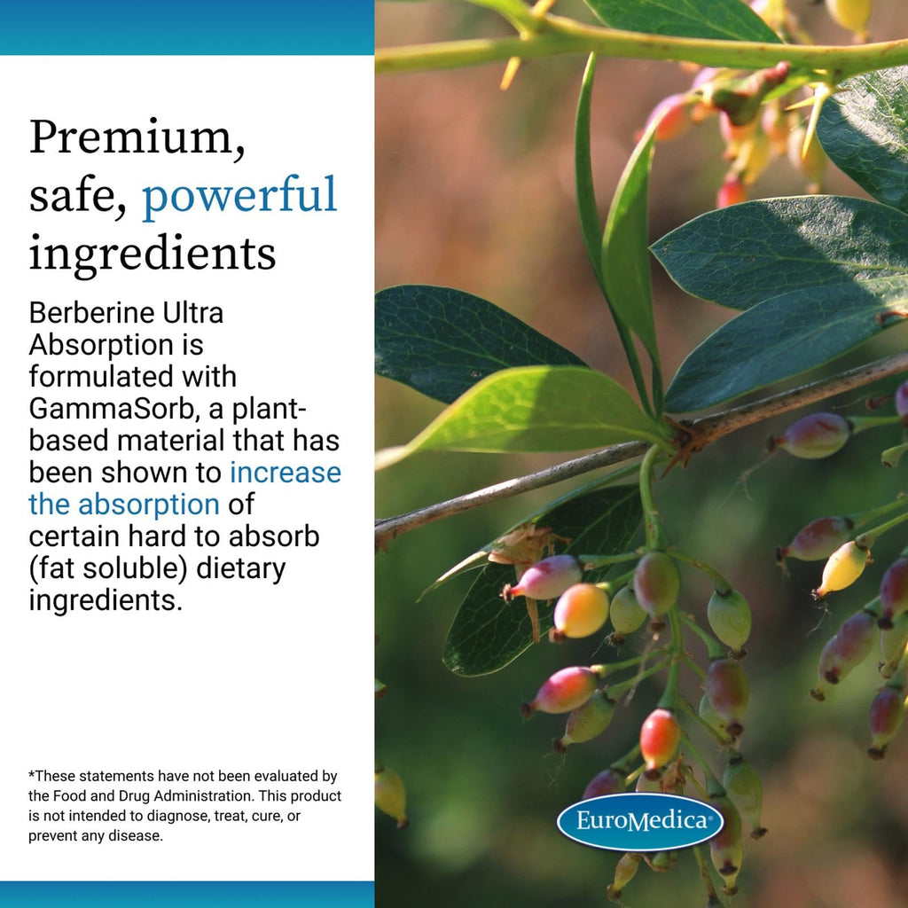 EuroMedica Ultra Absorption Berberine Metabolic Support - 60 Capsules - image 5