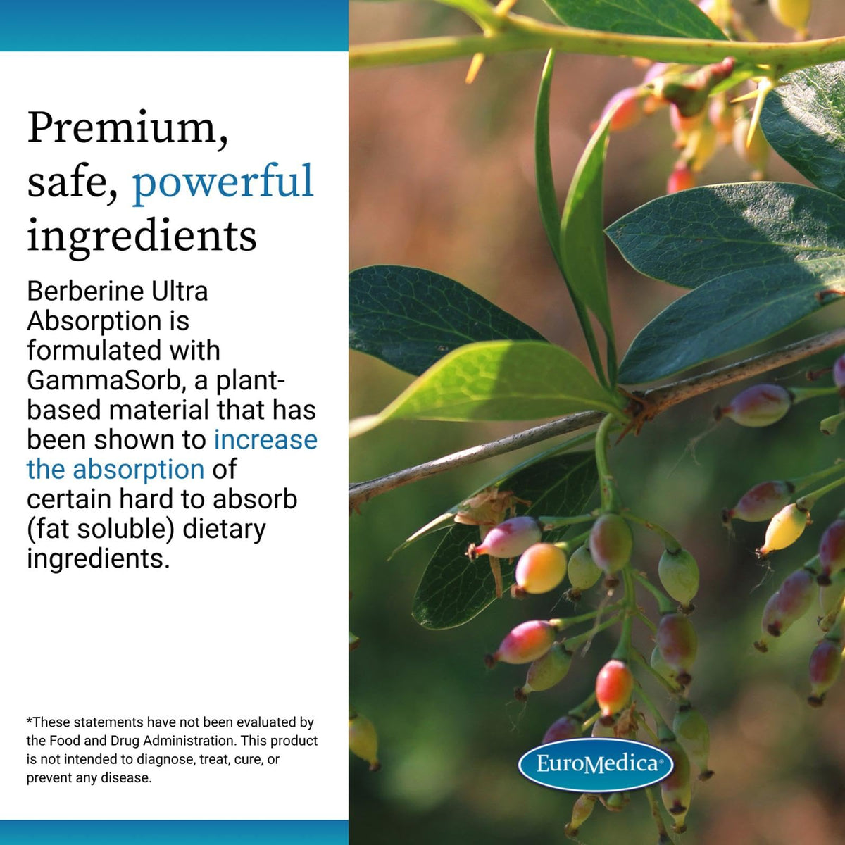 EuroMedica Ultra Absorption Berberine Metabolic Support - 60 Capsules - image 5