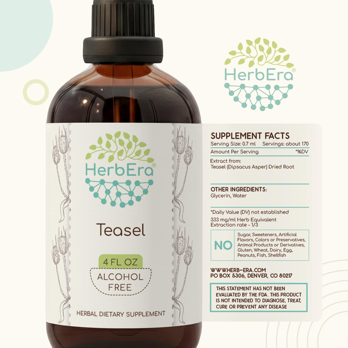 HerbEra Teasel Alcohol-Free Herbal Extract Tincture