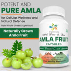 Organic Aura International Amla Capsules 1000mg - 120 Vegetarian Capsules - image 3