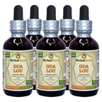 Herbal Terra LLC Gua Lou, Trichosanthes (Trichosanthes Kirilowii)