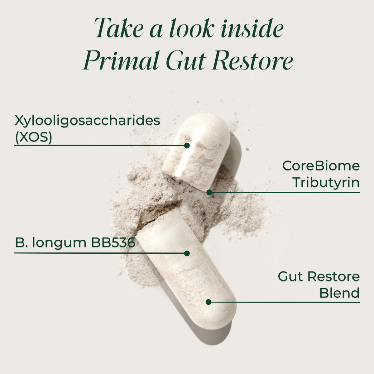 PPrimal Harvest Restore for Gut Health