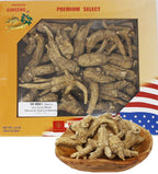 DABC OAK LAND Wisconsin American Ginseng Root - 8 oz