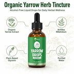 KingHealth Yarrow Herb Tincture Alcohol-Free Extract - 1 Fl Oz - image 3
