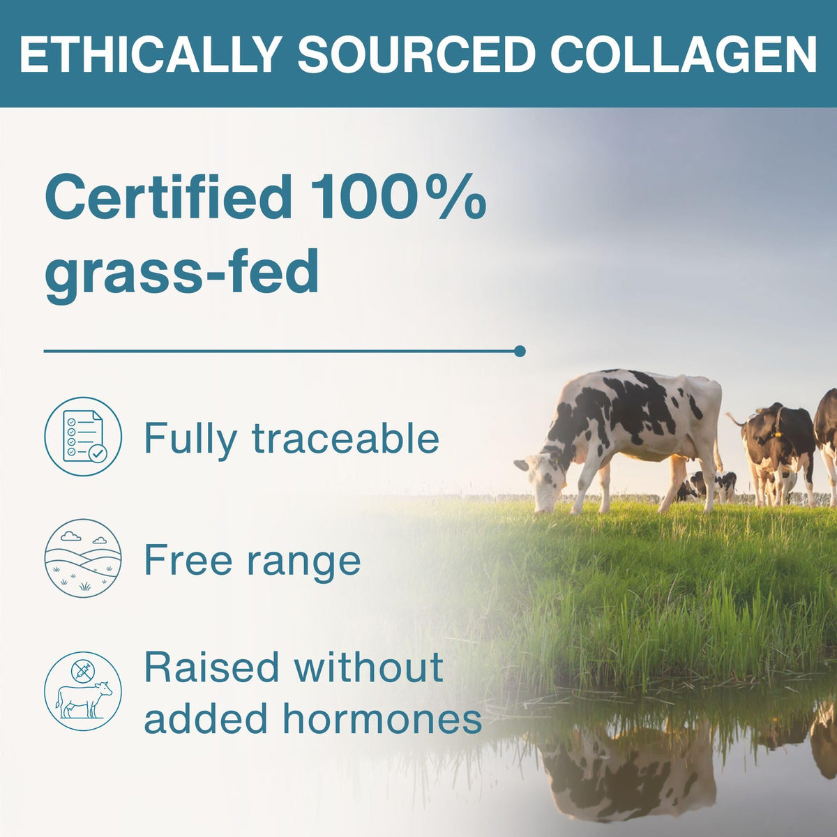 Igennus Highest Grade Hydrolyzed Collagen Peptides