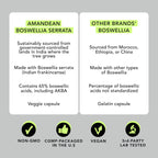 AMANDEAN Boswellia Serrata Extract 65% Capsules Joint Support - 120 Count - image 5