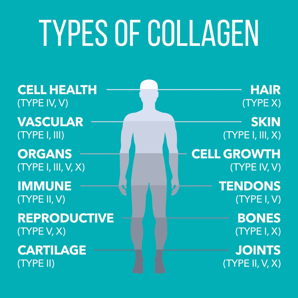 Nature's Plus NaturesPlus Collagen Peptides - Hair