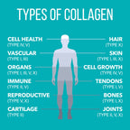 Nature's Plus NaturesPlus Collagen Peptides - Hair