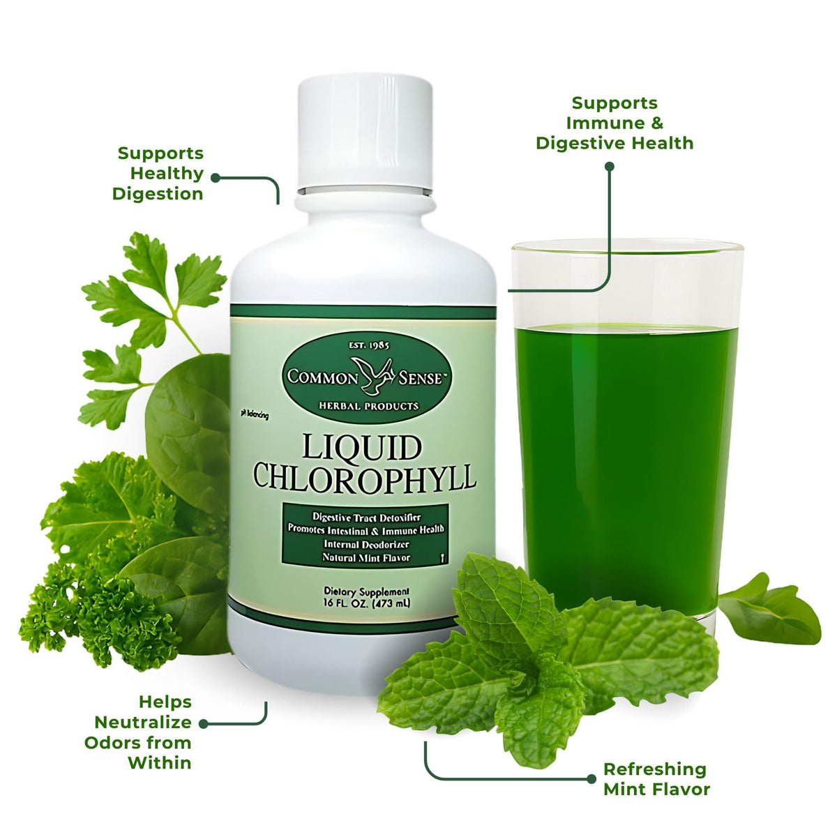 Common Sense Herbal Products Liquid Chlorophyll Immune Health - 16oz - image 4