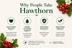 Green Organic Supplements Hawthorn Berry Capsules