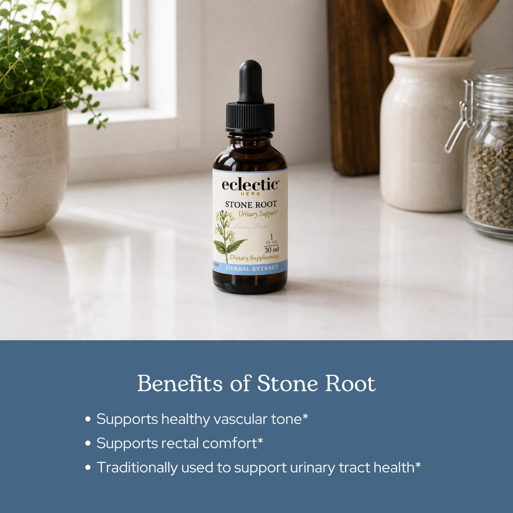 Eclectic Institute Stone Root Extract Liquid Drops Urinary Support - 1 fl oz - image 4