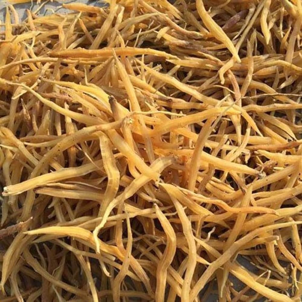 AYURVEM HERBS Shatavari Root Powder - 400g