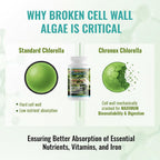 Chronox Chlorella Pure Organic Supplement - 60 Capsules - image 4