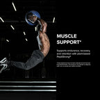 Designs for Sport Pro-Formance Peptides - 120 Capsules - image 4