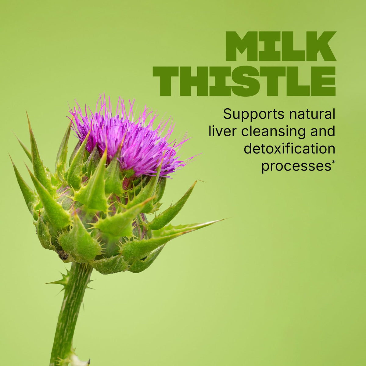 Swisse Liver Cleanse Detox & Repair with Milk Thistle - 180 Tablets - image 4
