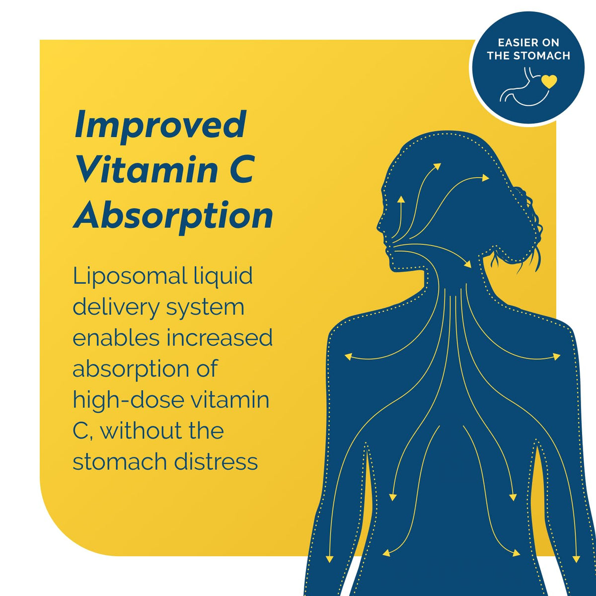 Researched Nutritionals C-RLA - Liposomal Vitamin C with R Lipoic