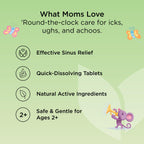 Hyland's Kids Stuffy Nose and Sinus Tablets - 50 Tablets - image 6