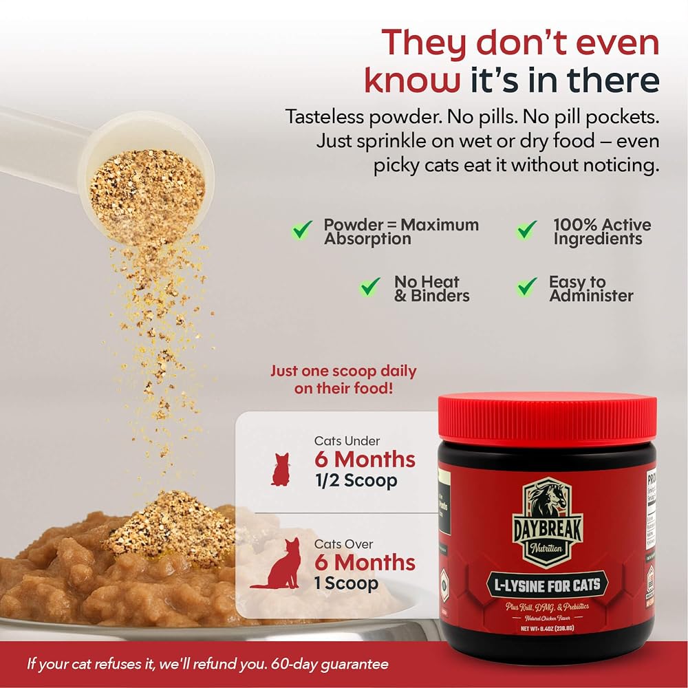 Daybreak Nutrition L-Lysine for Cats and Kittens - 900 mg L Lysine