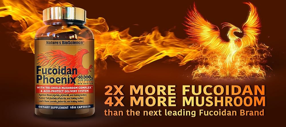 Nature's Bioscience Fucoidan Phoenix Advanced Mushroom - 480 Capsules - image 3