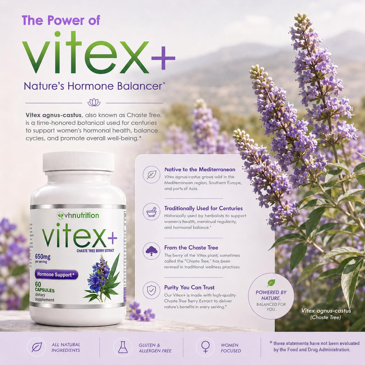 VH Nutrition VITEX+ Vitex Chasteberry Supplement - 60 Capsules - image 3