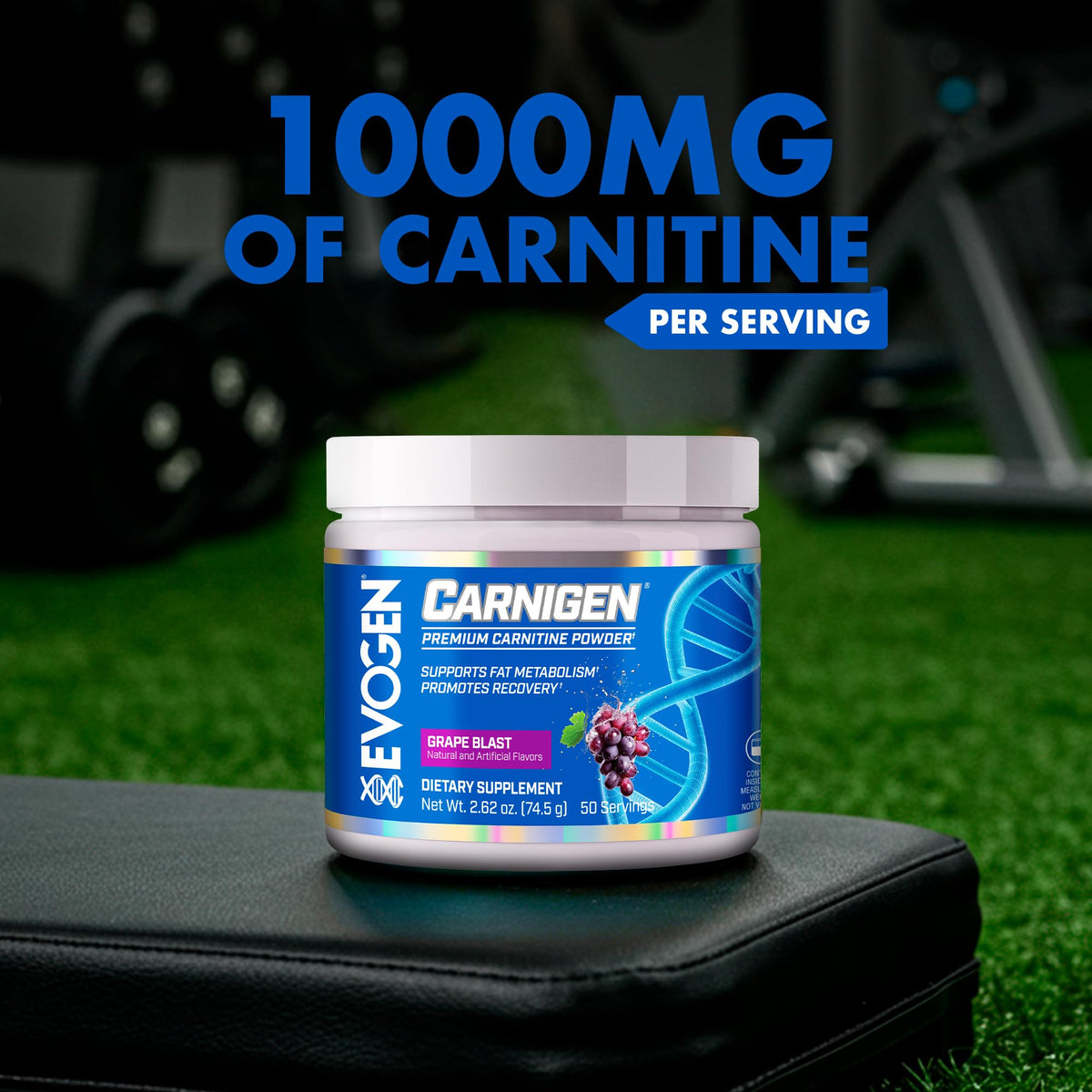 Evogen Carnigen - Premium Carnitine Powder