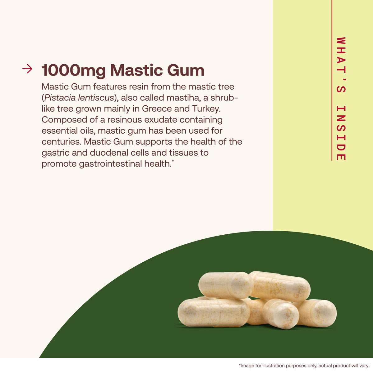 Jarrow Formulas Mastic Gum 1000mg Stomach Support - 120 Capsules - image 3