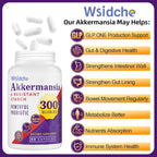 Wsidche AFU Akkermansia Muciniphila