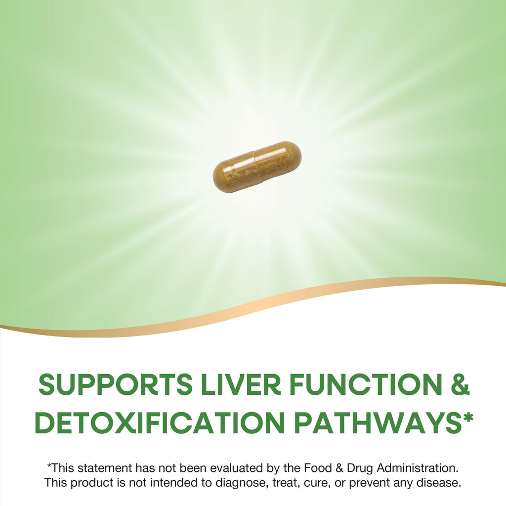 Nature's Way Milk Thistle 175 mg Liver Support - 240 Capsules - image 4