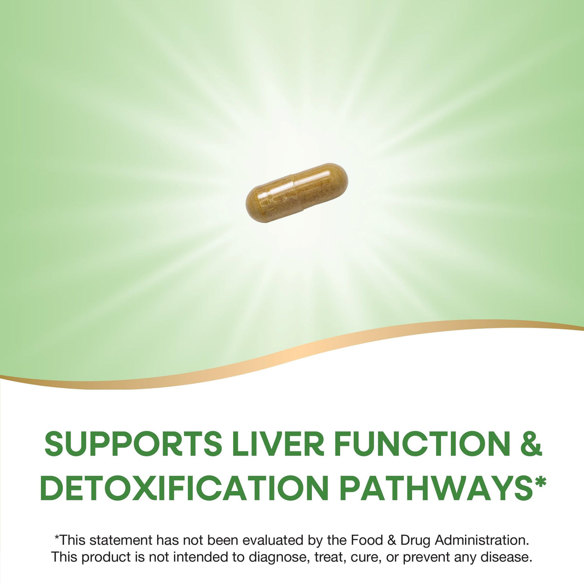 Nature's Way Milk Thistle 175 mg Liver Support - 240 Capsules - image 4