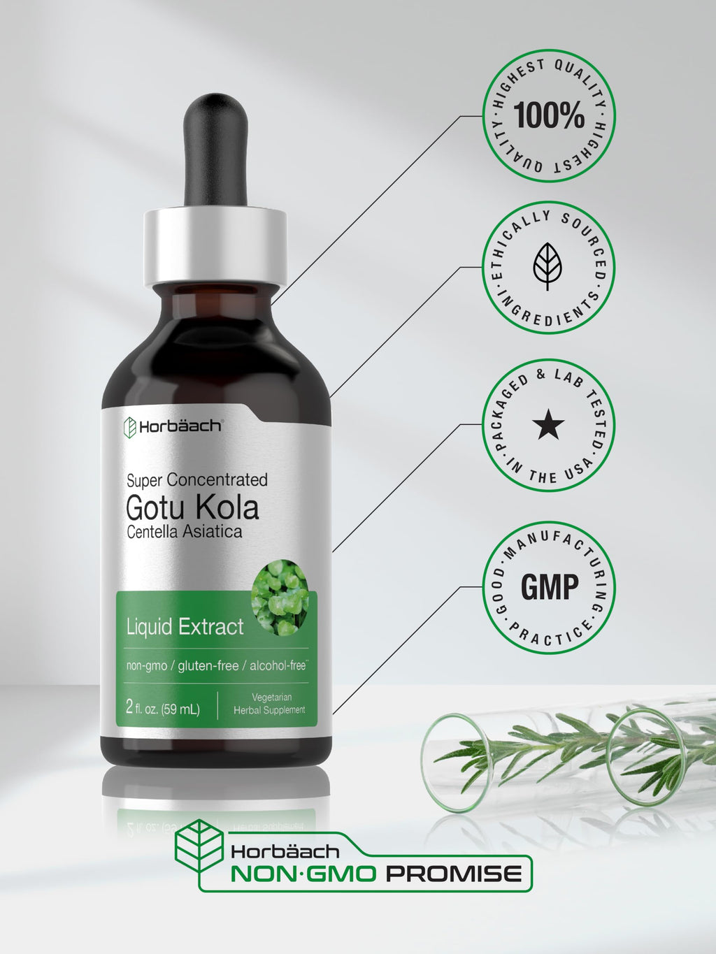 Horbäach Gotu Kola Extract Liquid - 2 fl oz - image 6