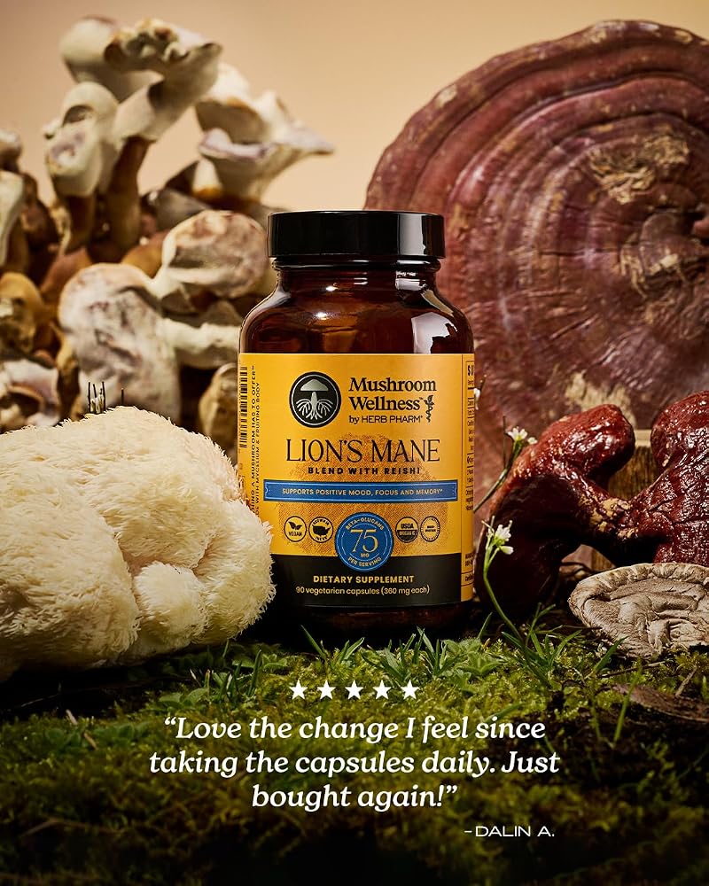 Herb Pharm Lion's Mane Blend with Reishi Capsules - 90 Vegan Capsules - image 8