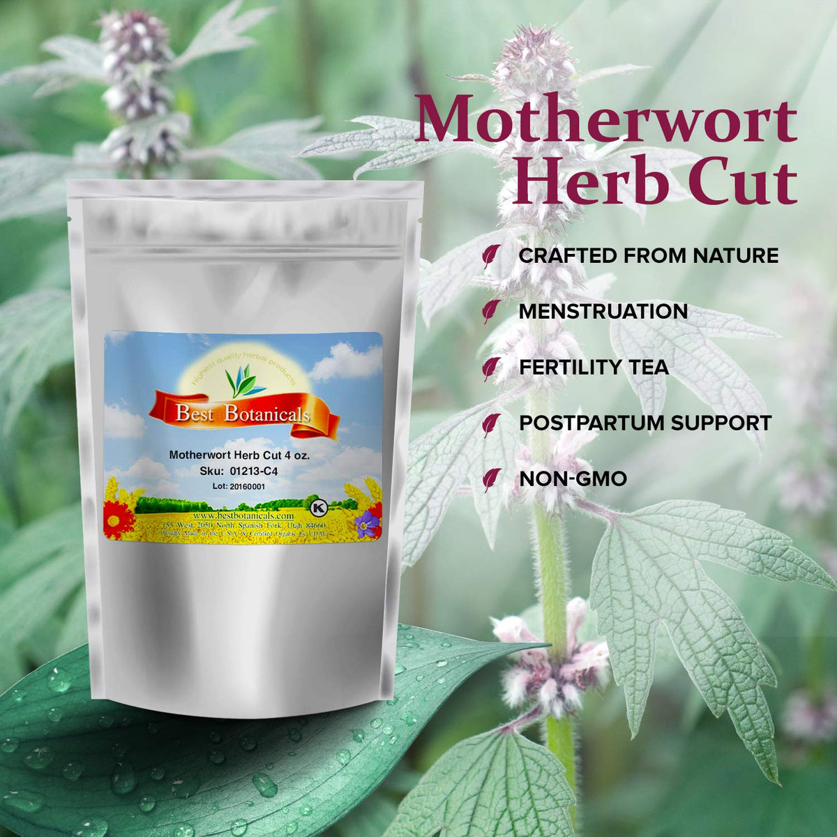 Best Botanicals Motherwort Herb Cut - 4 oz. - image 2