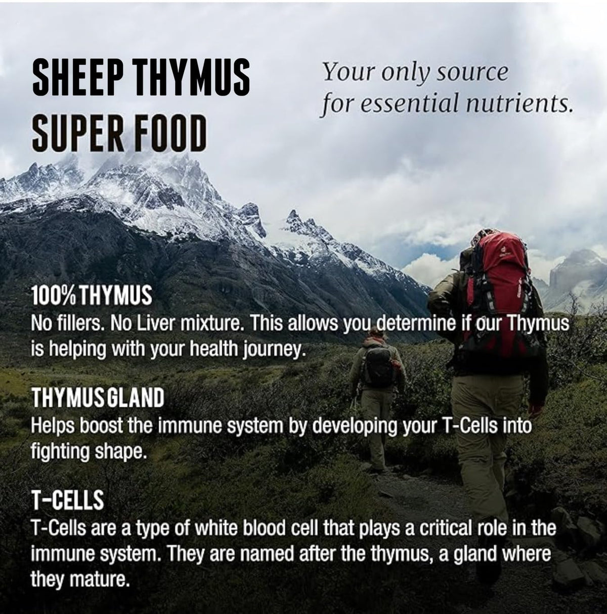 One Earth Health Grass Fed Thymus - 200 Capsules - image 3